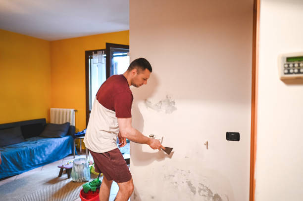 Best Affordable Mold Removal  in Brooks, KY